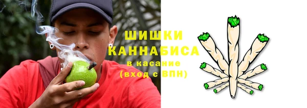 ГАЛЛЮЦИНОГЕННЫЕ ГРИБЫ Абдулино
