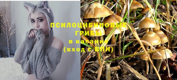 стафф Алексин