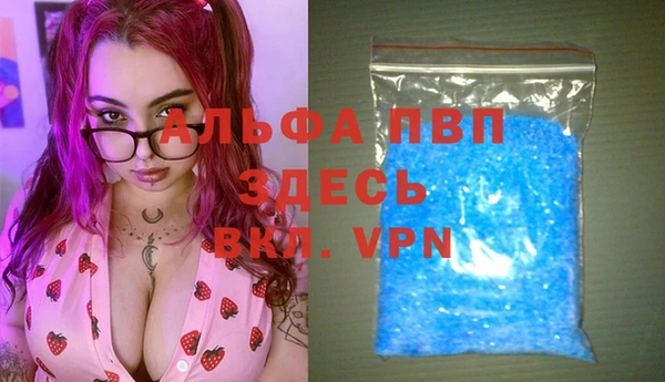 стафф Алексин