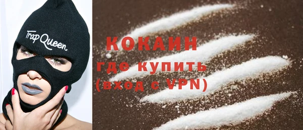 стафф Алексин