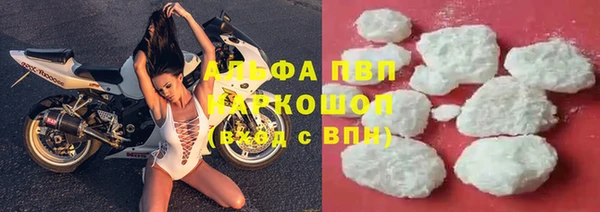 твердый Алзамай