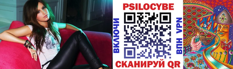 наркотики  Сусуман  ссылка на мегу ссылки  Псилоцибиновые грибы Psilocybe 