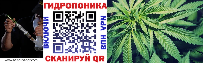 Канабис Bruce Banner  Сусуман 